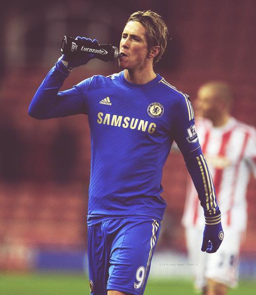 Fernando José Torres Sanz