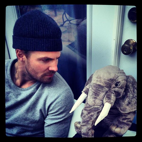 Stephen Amell