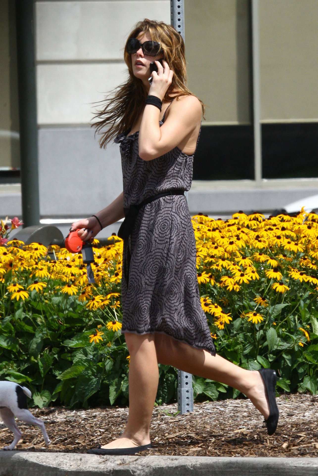 Ashley Greene walking her dog around her hotel in Detroit on July 17, 2010 