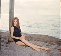 Claudine Auger in a bikini