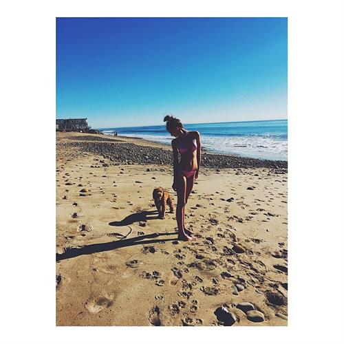 Taylor Marie Hill in a bikini