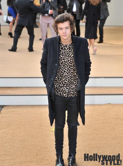 Harry Styles