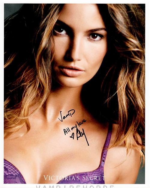 Lily Aldridge in lingerie