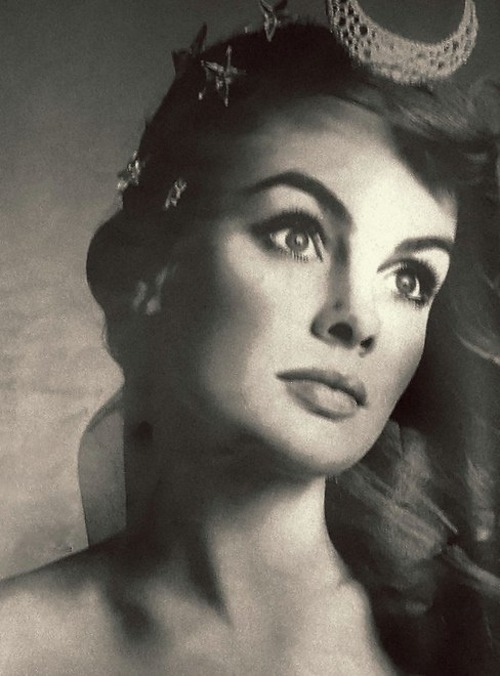 Jean Shrimpton