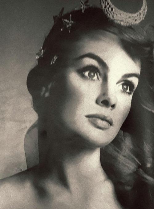 Jean Shrimpton