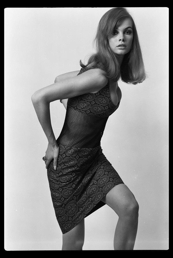 Jean Shrimpton