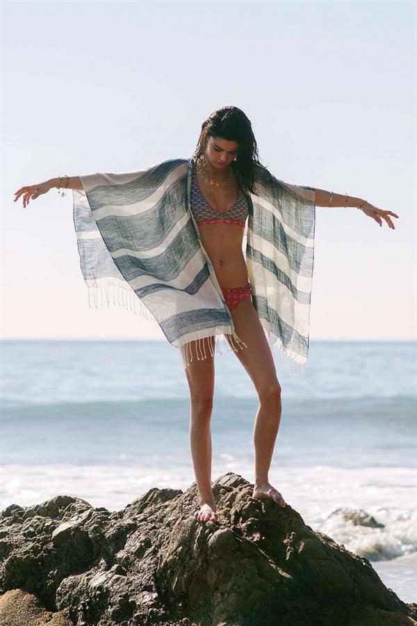 Lauren Layne in a bikini