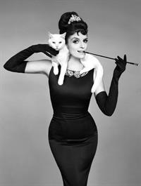 Tina Fey Pictures Tina Fey