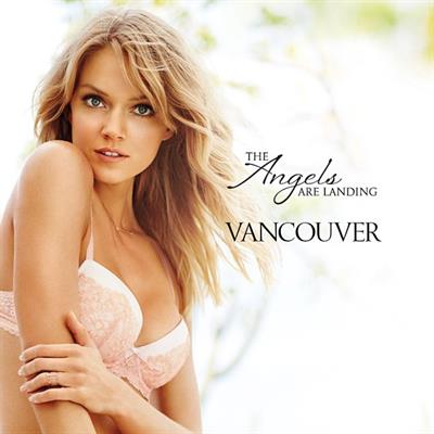 Lindsay Ellingson in lingerie