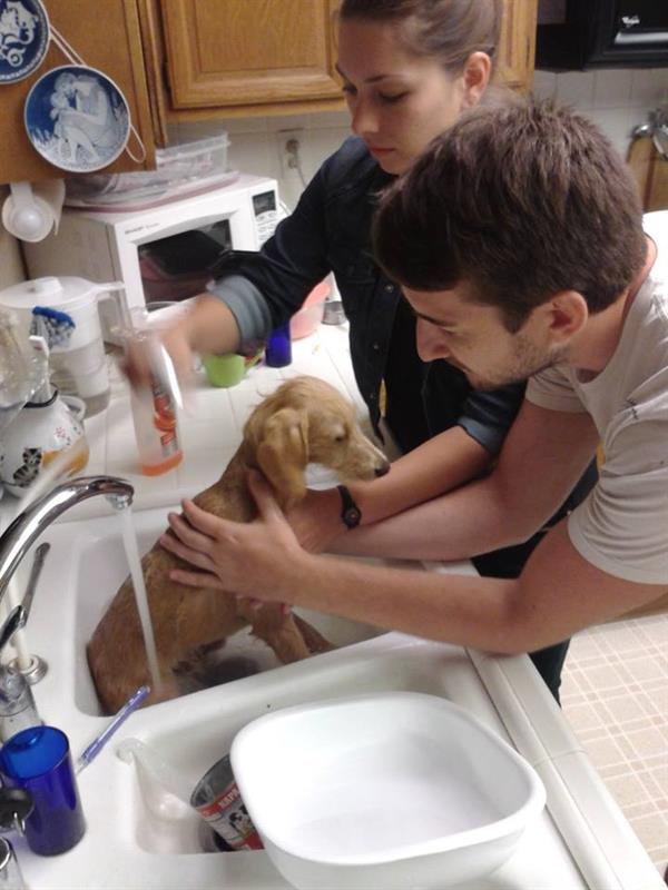 Giving Charlie Dog a bath