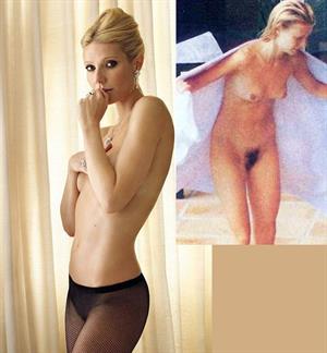 Gwyneth Paltrow - pussy and nipples