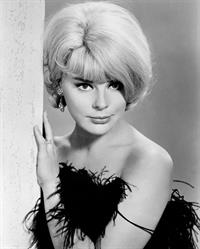 Elke Sommer