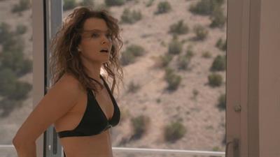 Dina Meyer in a bikini