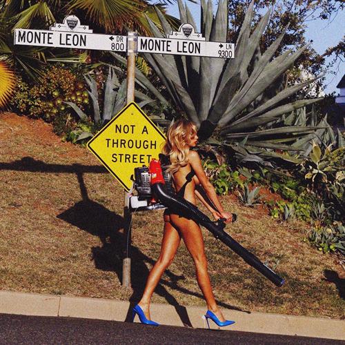 Charlotte McKinney in a bikini