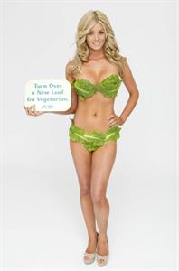 Sheridyn Fisher in a bikini