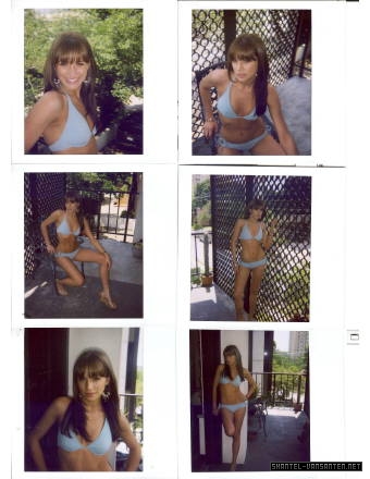 Shantel VanSanten in a bikini