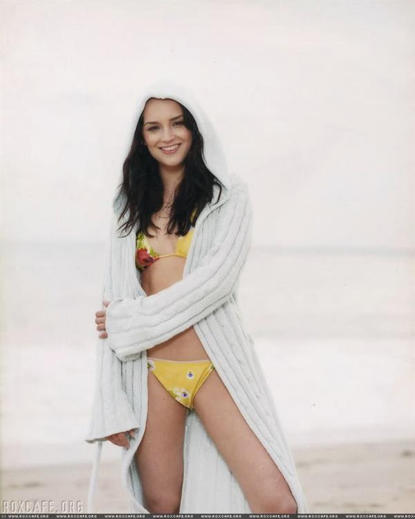 Rachael Leigh Cook in a bikini