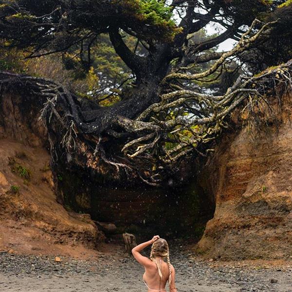 Sara Jean Underwood in a bikini