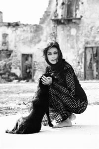 Mădălina Diana Ghenea