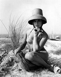 Elke Sommer in a bikini