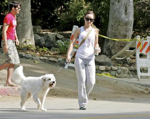 Olivia Wilde walking her dog in the Hollywood Hills on June 24, 2011