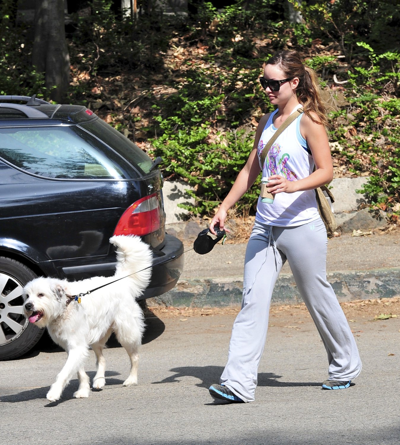 Olivia Wilde walking her dog in the Hollywood Hills on June 24, 2011