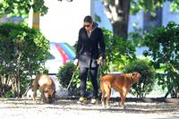 Jessica Biel Takes her two dogs for a long walk in SoHo (May 4, 2013) 