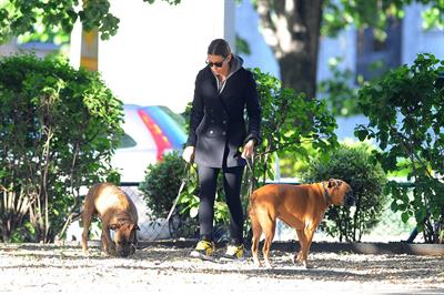 Jessica Biel Takes her two dogs for a long walk in SoHo (May 4, 2013) 