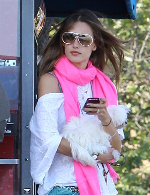 Alessandra Ambrosio at the Country Mart in Malibu on May 28, 2011