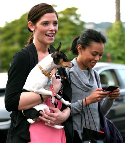 Ashley Greene and her dog Marlow out and about in Beverly Hills on January 15 
