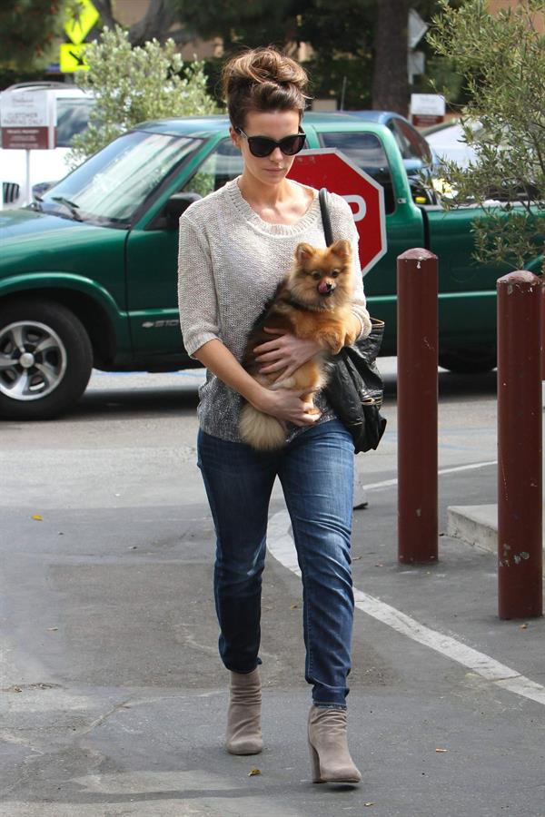 Kate Beckinsale out with her dog in Los Angeles 4/8/13 