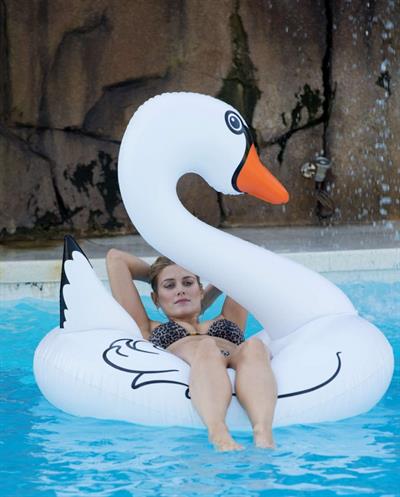 Ashley James in a bikini