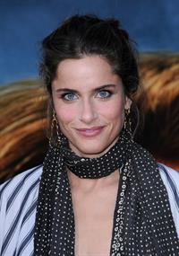 Amanda Peet at the Pineapple Express premiere in Westwood 