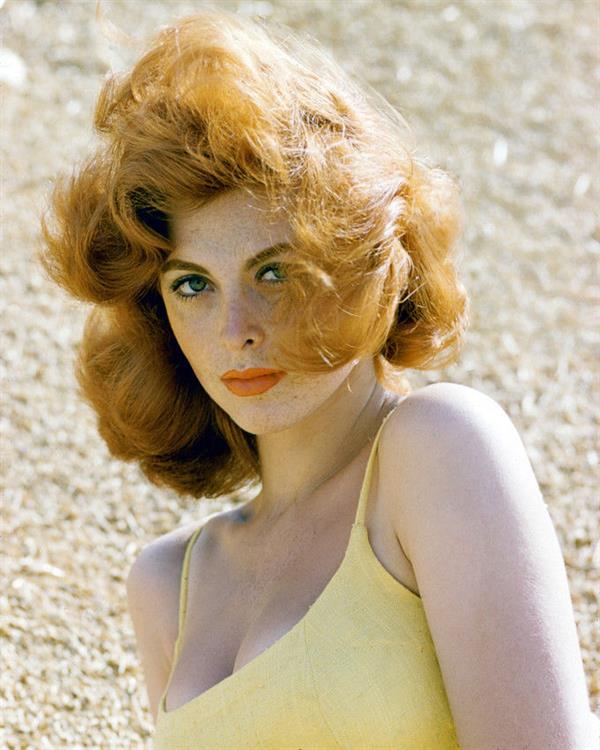 Tina Louise