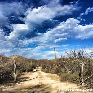 Playboy Cybergirl - Gia Ramey-Gay Nude Photos & Videos at Playboy Plus!