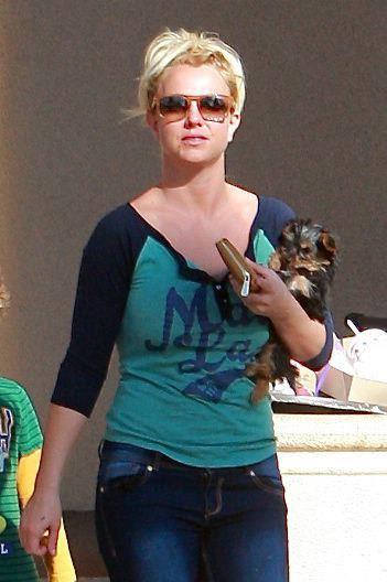 Britney Spears Heads to an appointment in Calabasas, California (November 17, 2012) 