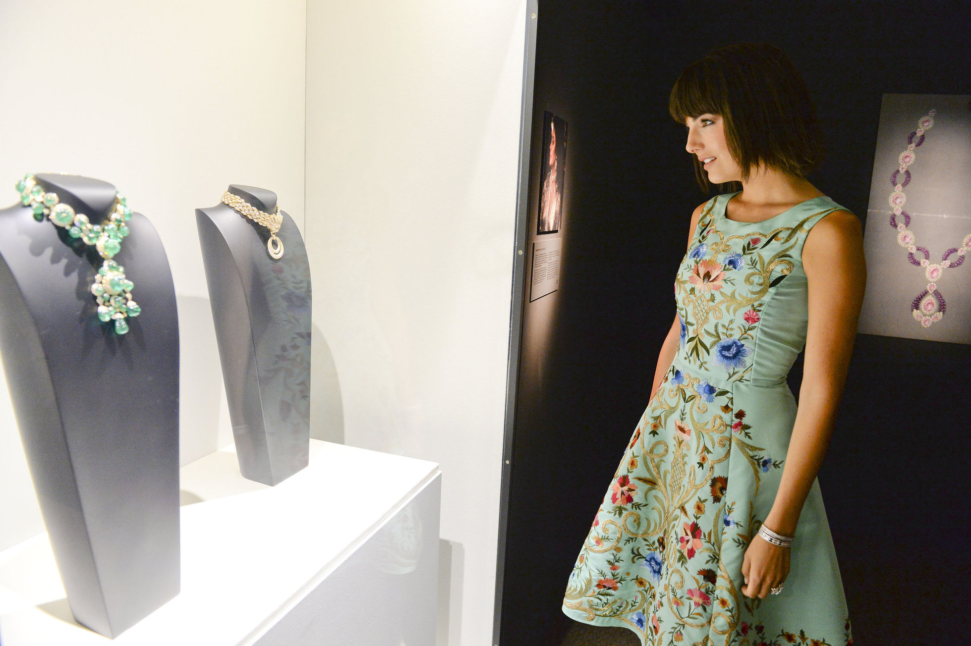 Camilla Belle A Quest for Beauty ehibit in Santa Ana,October 26, 2013 