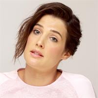 Cobie Smulders  Delivery Man  press conference 2013-11-01 