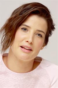 Cobie Smulders  Delivery Man  press conference 2013-11-01 