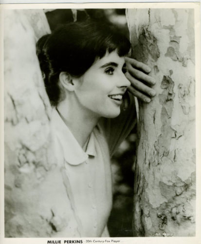 Millie Perkins