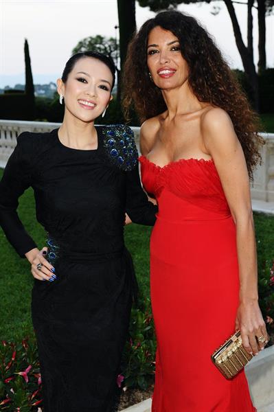 Zhang Ziyi amfars Cinema Against AIDS Gala in Antibes France on May 19, 2011