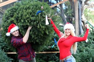 Heidi Montag Get into the festive spirit and step out to pick up a Christmas Tree on December 5, 2012