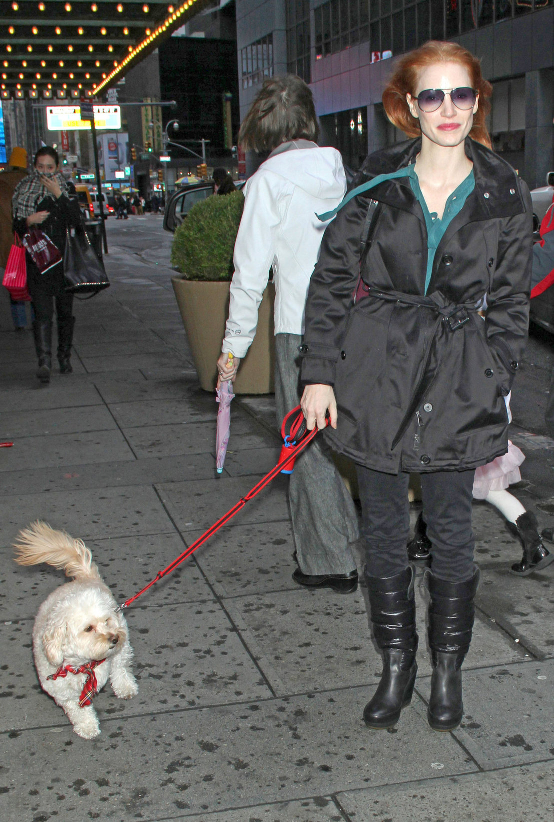 Jessica Chastain with her dog Chaplin arriving to the Walter Kerr Theatre in New York City December 27, 2012 