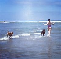 Whitney Cummings in a bikini - ass