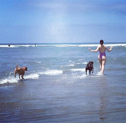 Whitney Cummings in a bikini - ass