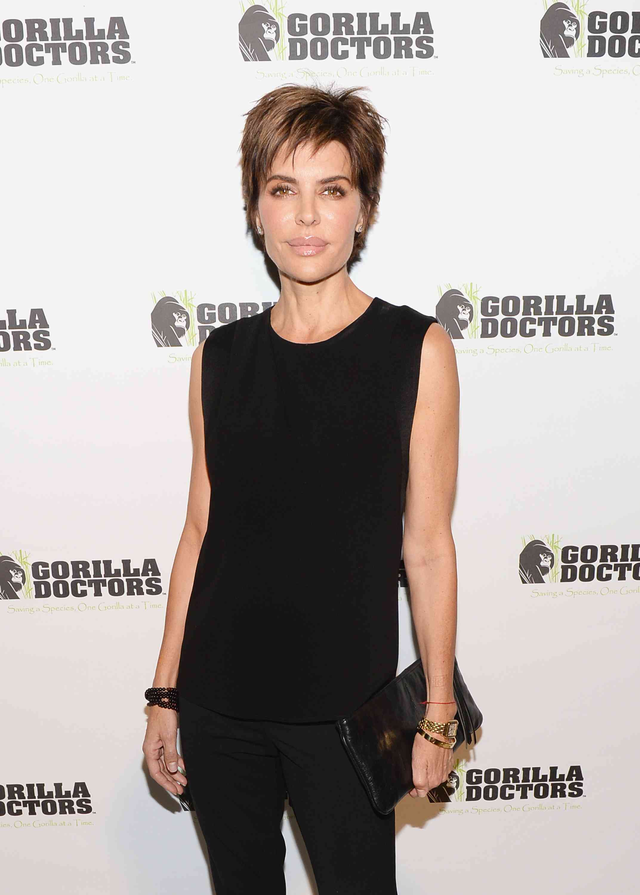Lisa Rinna Gorilla Doctors of Africa Benefit Event (November 4, 2013) 