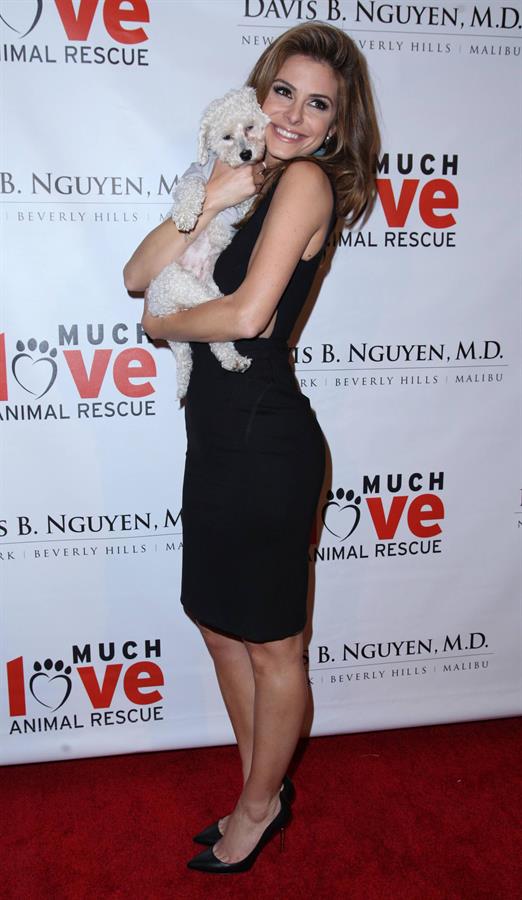Maria Menounos Makeovers For Mutts L.A.Fundraiser on March 14, 2013