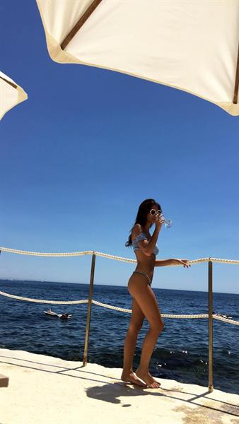 Emily Ratajkowski in a bikini