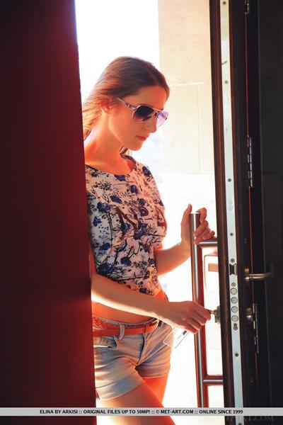 Elina in  Detarce  for MetArt - Elina strips on the couch baring her sexy hips and trimmed pussy.