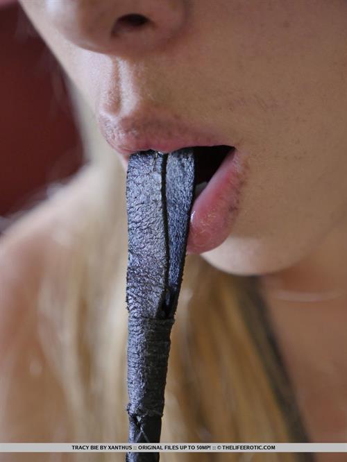 Tracy Bie in  New Sensations 1  for The Life Erotic